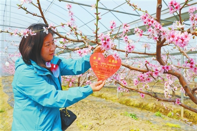 擦亮旅游名片玩购桃花又一春